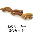 【ふるさと納税】とんぼ工房手作り「木のミニカー3台セット」｜木のおもちゃ 木製 車 くるま 男の子 女の子 誕生日 クリスマス プレゼント 幼児 玩具 ベビー 赤ちゃん 出産祝い [0083]