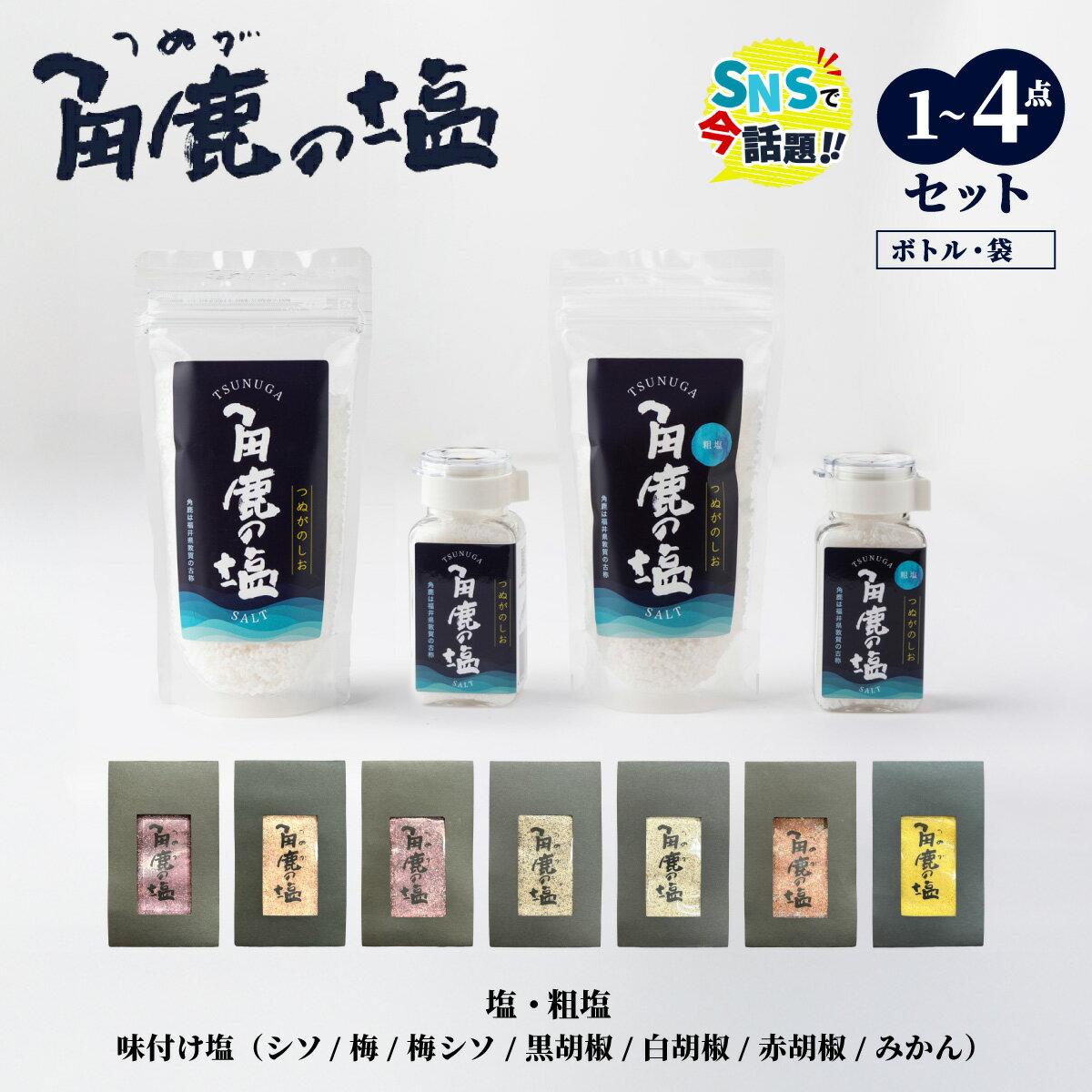 【ふるさと納税】★SNS で 話題沸騰★ 呪われていない 特別な塩 「角鹿の塩」 単品〜4点セット（塩・粗塩・味付き塩）[選べる種類・内容】【敦賀 塩 しお 粗塩 天然塩 天日塩 釜炊き 調味料 日本書紀 人気 話題 急上昇 大バズり お中元 お歳暮 ギフト 贈り物 NEW 新規】