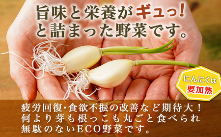 【☆クリスマス☆】スーパーフード!つまみにんにく&ディップセット≪12月20日～23日お届け≫_AA-C902-OJX