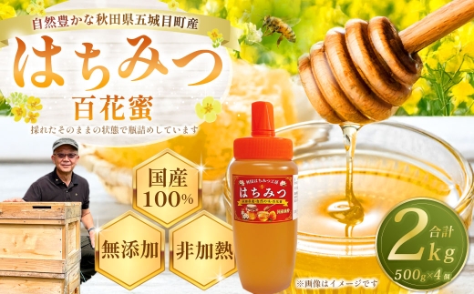 秋田県五城目町産 はちみつ ( 百花蜜 ) 500g × 4個 純粋はちみつ 非加熱 食品添加物不使用 国産 ハニー 【 2027年1月上旬まで発送予定 】