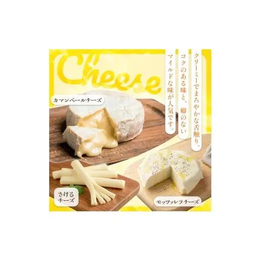 チーズセット & かしわのたまご〈北海道 安平町 特産品セット〉 カマンベールチーズ   燻製 卵【1064691】