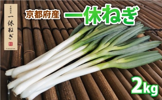 京都府産 一休ねぎ 2kg 白ねぎ 白ネギ 白葱 葱 ねぎ 野菜 やさい お取り寄せ 産地直送 鍋 新鮮 薬味 家庭用 業務用 国産 旬 井手町 京都
