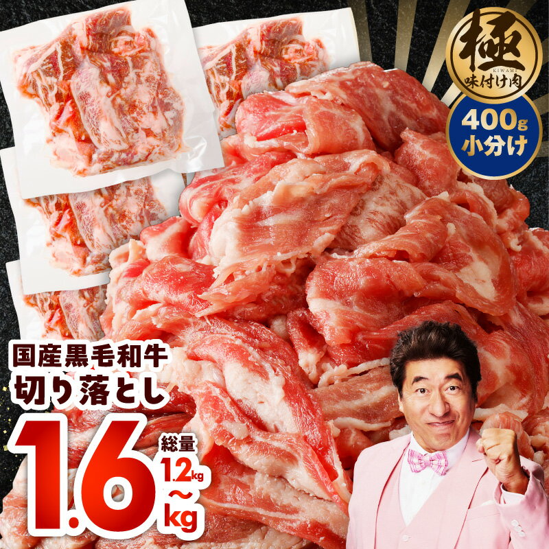 【ふるさと納税】【訳あり】【極味付け肉】国産 黒毛和牛 切り落とし 1.2kg / 1.6kg 小分け 各400g 部位不揃い 大阪府 泉佐野市 送料無料 肉の泉佐野 氷温熟成牛 牛肉 熟成肉 氷温熟成 作り方 ふるさと納税オリジナル 限定