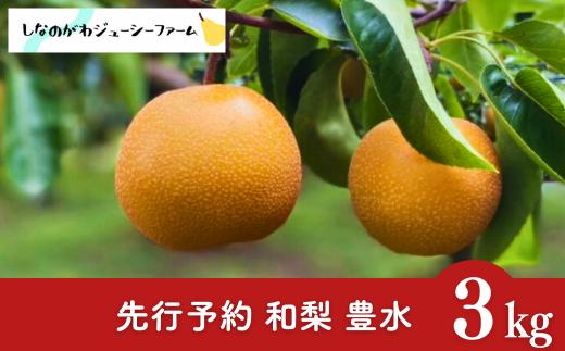 先行予約 和梨 豊水 約3kg 2026年産 令和8年度 豊水 新潟県産 豊水 三条市産 豊水梨 ほうすい [しなのがわジューシーファーム]【010S479】