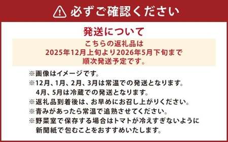 麗妃トマト（栽培自慢） 約4kg 【2025年12月上旬発送開始】 野菜 やさい とまと トマト 熊本県産 国産