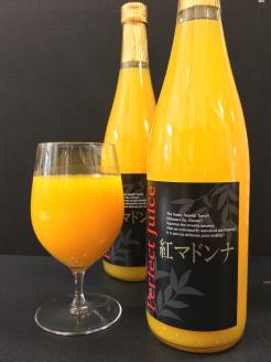 ＜愛媛県西宇和産 紅マドンナジュース 720ml×2本＞ みかん 柑橘 果物 フルーツ オレンジ 紅まどんな 特産品 潮彩館 愛媛県 西予市