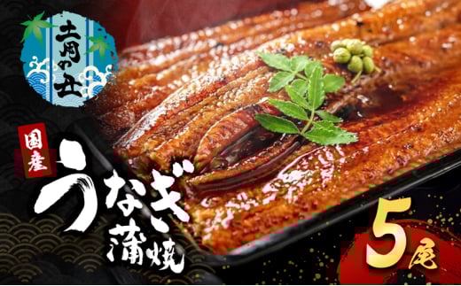 2026先行予約【7月発送】 国産うなぎ蒲焼 5尾 (1.2kg～1.25kg) 国産 うなぎ ウナギ 鰻 国産うなぎ 国産鰻 うなぎの蒲焼 鰻の蒲焼 うなぎの蒲焼き 鰻の蒲焼き 蒲焼き 惣菜 魚 魚介 魚介類 大阪 大阪府 岸和田市[№5385-0610]
