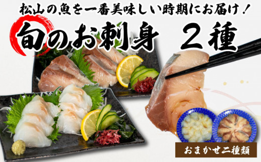 <冬のお届け> 旬のお刺身 2種類 (2~3人前×2種類) 魚 切身 鮮魚 刺身セット 刺身2種盛り 刺身 お刺身 お刺し身 魚介 海の幸 小分け 個包装 冷凍 鯛 カワハギ スズキ イカ サワラ タコ ハマチ ヒラメ 愛媛県 松山市