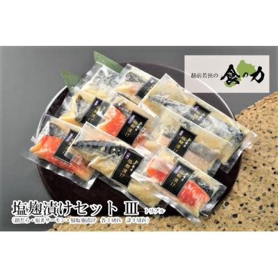 ふるさと納税 鯖江市 塩麹漬けセットトリプル(銀だら・ふくいサーモン・鯖(各3切れ))