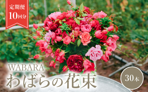 わばら花束30本定期便　１０回分　WABARA  摘みたて ブーケ 花束 Rose Universe