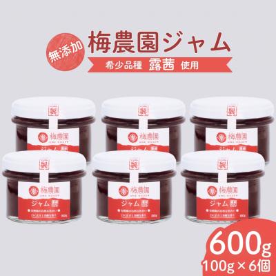 ふるさと納税 南相馬市 梅農園ジャム 600g (100g×6個) | 梅ジャム 梅 国産 無添加 完熟 露茜 相馬アグリ