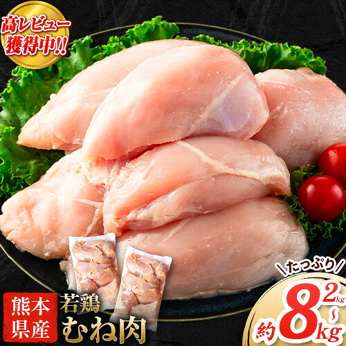 【ふるさと納税】＼内容量が選べる！／大容量 鶏肉 熊本県産 若鶏むね肉 内容量選べる 2kg 4kg 8kg《30日以内に出荷予定(土日祝除く)》 　モモ肉 モモ 若鶏モモ 鶏モモ ムネ 鶏ムネ ムネ肉 若鶏ムネ