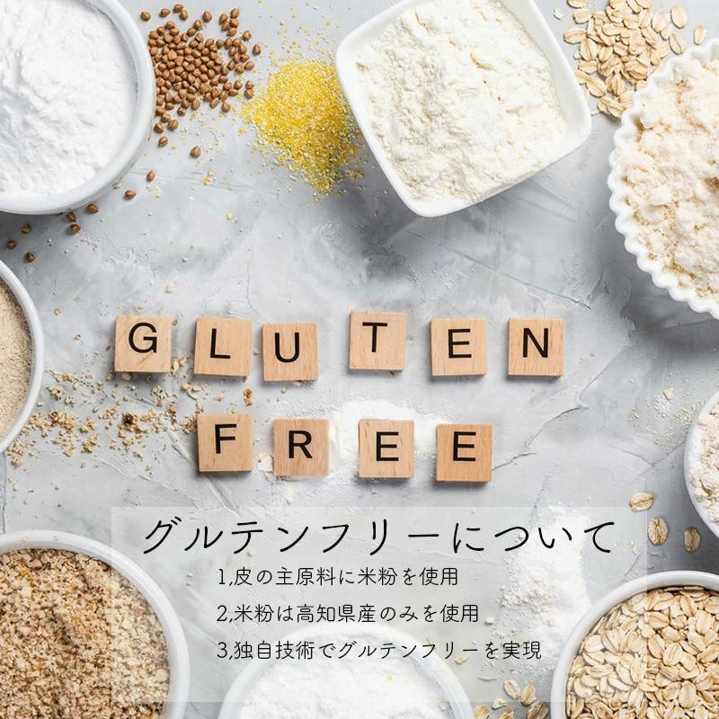 黒 にんにく と 四万十豚 で作った 最高級餃子 （ 6個入り × 8 パック ） 餃子 ギョーザ 焼き餃子 やきぎょうざ ぎょーざ こだわり 大容量 冷凍 冷凍餃子 簡単 調理 簡単調理 惣菜 冷凍