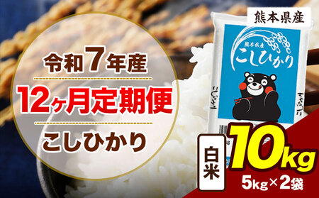 【12ヶ月定期便】令和7年産  こしひかり 10kg 精米 白米 《お申込み翌月から出荷》