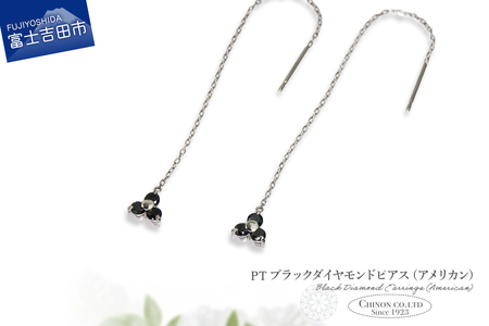 ピアス PT　ブラックダイヤモンドアメリカンピアス　CS-707 ジュエリー