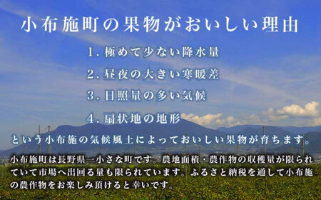 先行受付【訳あり】ピオーネ 約1kg 2～3房 2026年9月中旬～10月下旬発送予定［新規就農者応援コース 幸作会］果物 フルーツ ぶどう 不揃い 規格外 定長野県産 信州産 冷蔵便 小布施町［K-