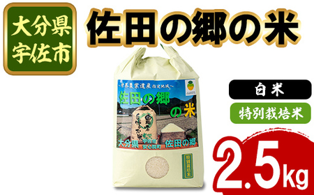 ＜令和7年産＞佐田の郷の米 特別栽培米(2.5kg)お米 白米 ごはん ヒノヒカリ ひのひかり ブランド米 常温 常温保存【111701100】【雅設置プロジェクト　佐田の郷の会】