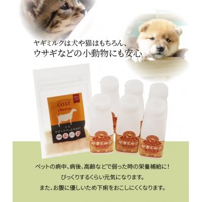 ふるさと納税 大分市 ワンちゃん、ネコちゃんの大好きなヤギミルク6本と、やぎミルクチーズ(ふりかけタイプ)_R14082 |  | 03