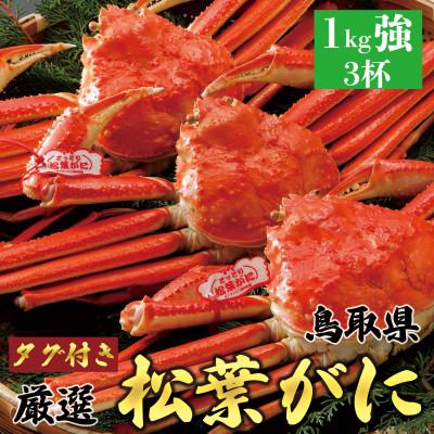 ふるさと納税 北栄町 【2026年11月発送】特撰 松葉がに(茹)【タグ付き】1kg3杯 N3_Y