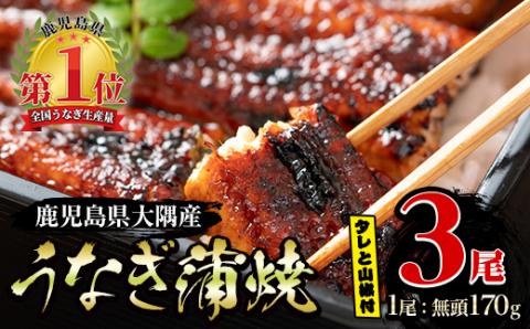 【土用の丑の日対応7/7入金まで】大隅特産うなぎ蒲焼３尾（510ｇ）【国産】