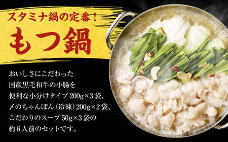 【2026年2月発送】国産黒毛和牛もつ鍋（醤油味）6人前 冷凍ちゃんぽん・濃縮スープ付＋ハーブ育ちチキン使用！水炊き4人前 合計10人前