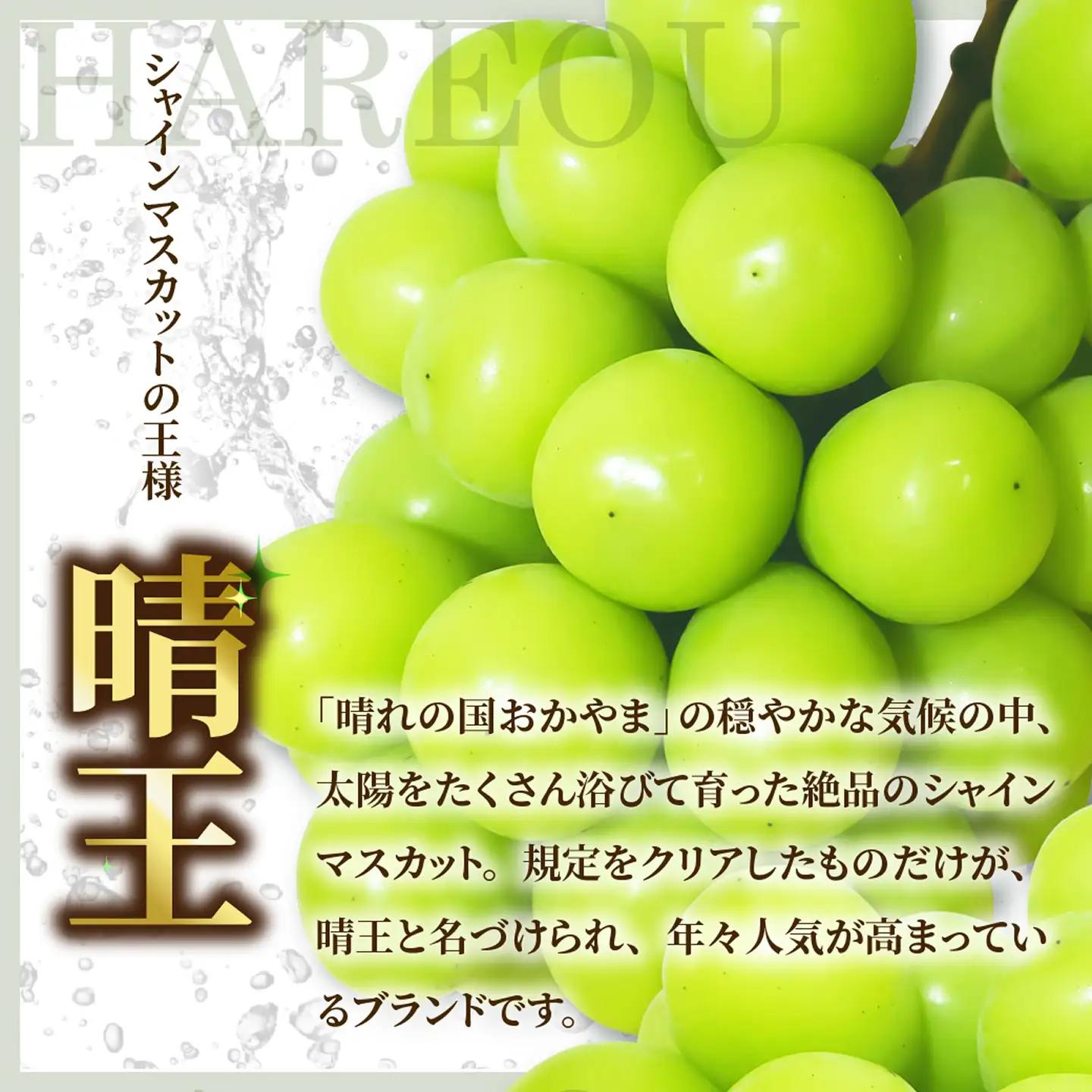岡山県産 シャインマスカット 晴王 秀品 1kg【シャインマスカット】