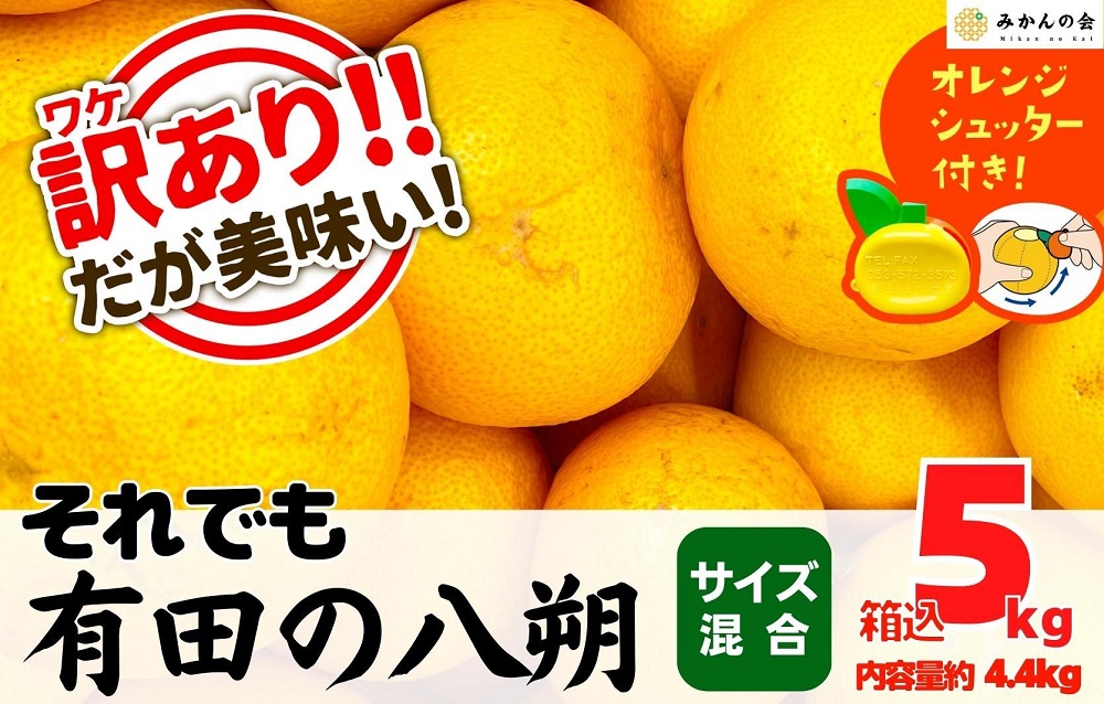 八朔 訳あり それでも 有田の八朔  (はっさく) 箱込 5kg (内容量約 4.4kg) サイズミックス B品 和歌山県産  産地直送［おまけ付き］［みかんの会］ AX242