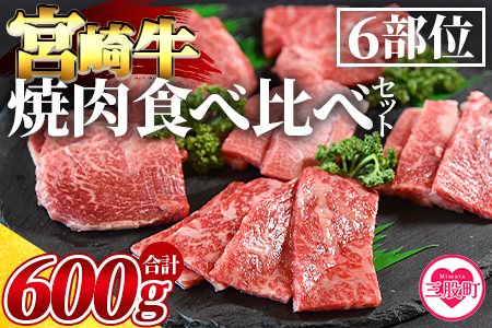 ＜3D冷凍宮崎牛焼肉食べ比べセット＞(合計600g)6肩ロース、バラ、モモ、ウデ、ロース、ヒレ各100gずつ！ BBQ特集 【MI089-my】【ミヤチク】