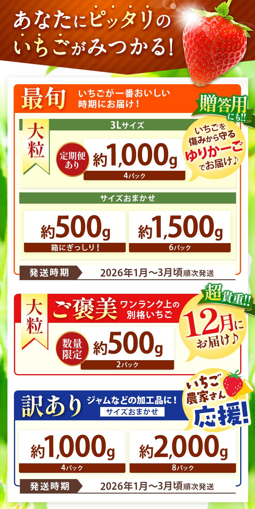 【訳あり】不揃いとちあいか2kg以上| 訳あり訳あり いちご とちあいか 大粒 新鮮 甘い 数量 限定 美味しい 果物 共通返礼品 フルーツ デザート 栃木県 送料無料 【訳あり】 不揃いとちあいか2