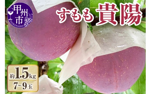【クール配送】すもも（貴陽）7～9玉（約1.5kg）【2026年発送】（KFT）C-1810 【貴陽 すもも スモモ 令和8年発送 期間限定 山梨県産 甲州市 フルーツ 果物】