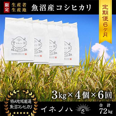 ふるさと納税 十日町市 【毎月定期便】魚沼産コシヒカリ「イネノハ」精米(3kg×4個)×6回【合計72kg】全6回