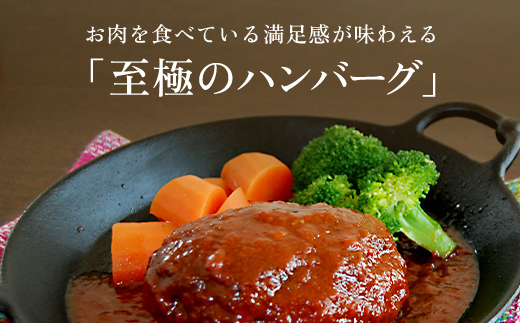 お肉ソムリエ監修! ＜A5ランク 100%黒毛和牛ハンバーグ 5個＞ ふるさと納税 人気 厳選 ハンバーグ はんばーぐ A5ランク 黒毛和牛 肉 お肉 牛肉 弁当 惣菜 冷凍 京都府 福知山市 FCA