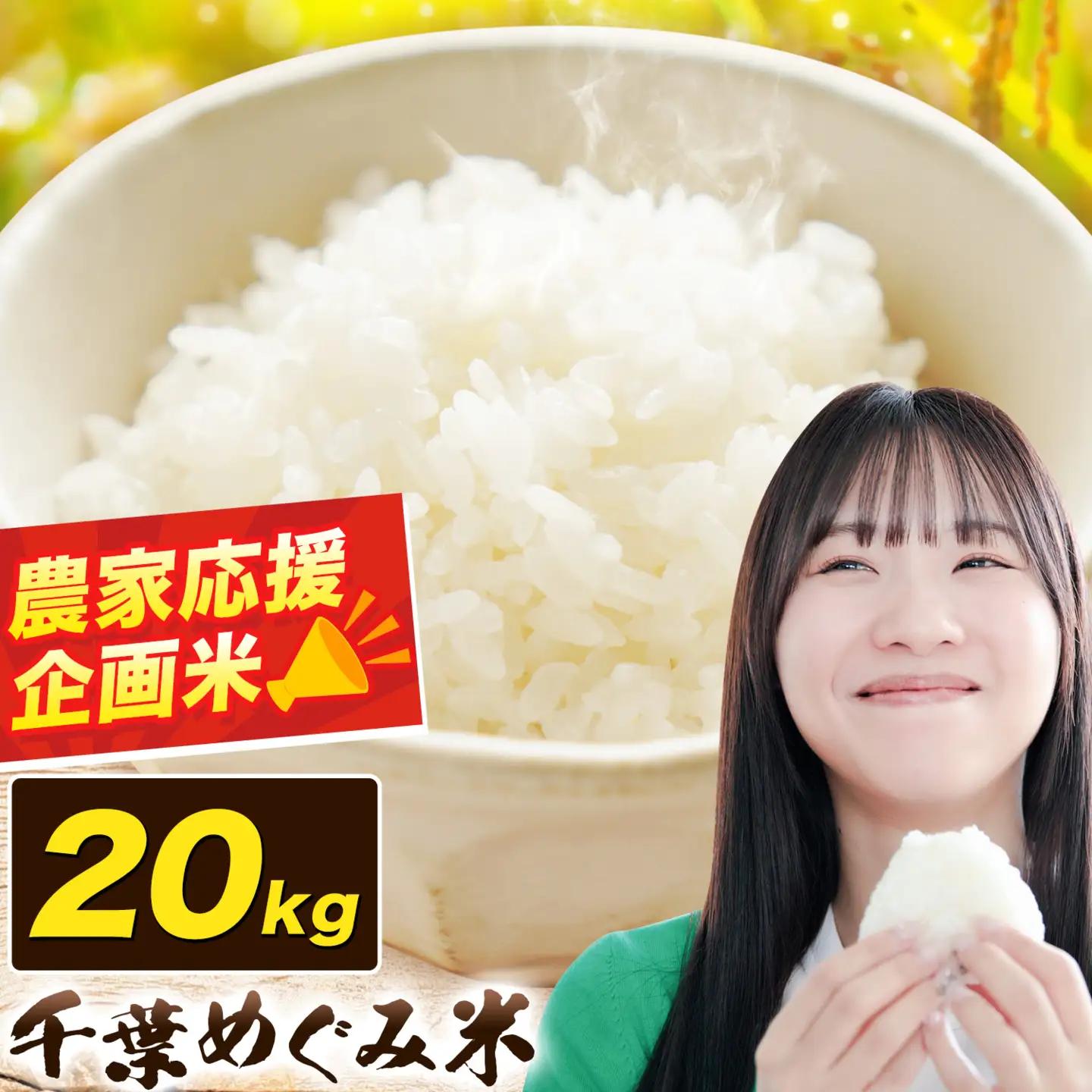 米 白米 千葉めぐみ米 20kg 千葉県産