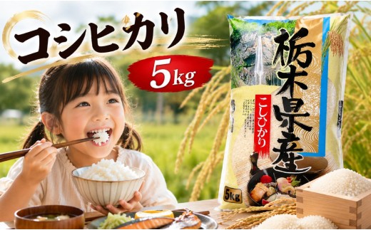 新米 令和8年度 栃木県産 こしひかり 白米 5kg  | 発送 ふるさと 納税 コシヒカリ お米 精米 白米 玄米 大粒 共通返礼品 送料無料 那珂川町 栃木県【栃木県共通返礼品】