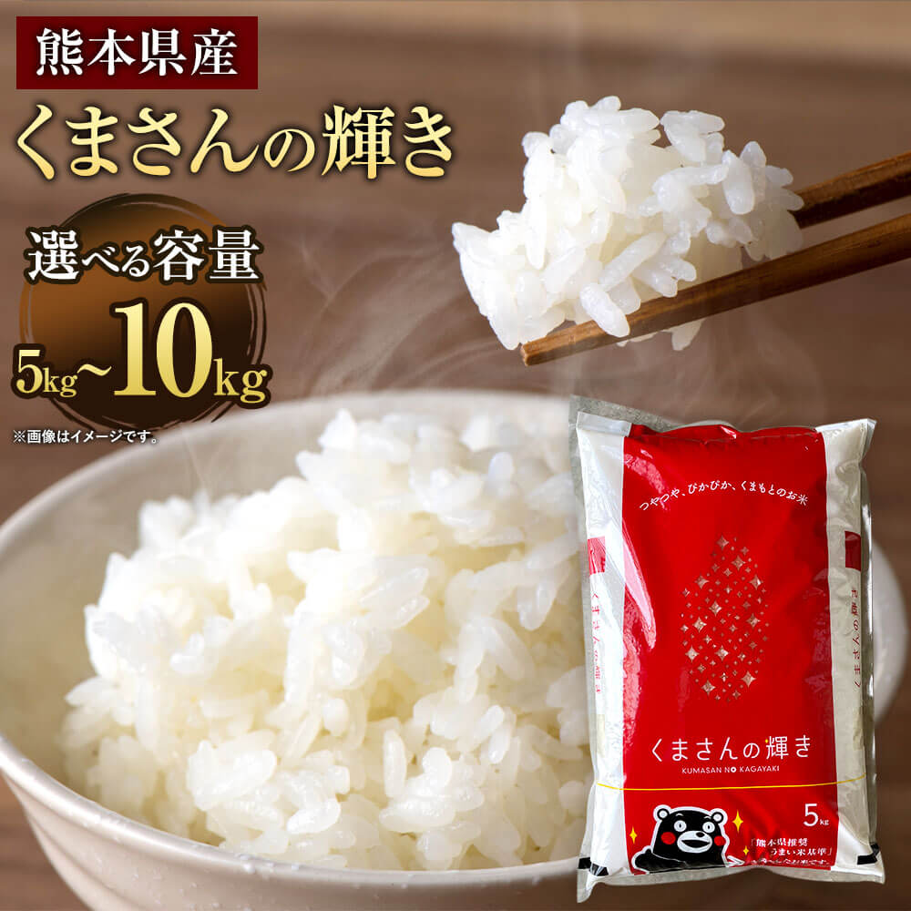 【ふるさと納税】【令和7年産】くまさんの輝き ＜選べる容量＞ 5kg または 10kg 5kg×2袋 【2026年9月下旬迄発送予定】 お米 精米 白米 米 ご飯 ごはん ライス 九州産 熊本県産 相良村産 国産 送料無料