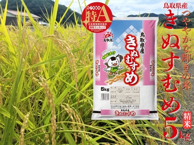 精米 5kg 白米 きぬむすめ 鳥取県産 令和7年産 | 46M