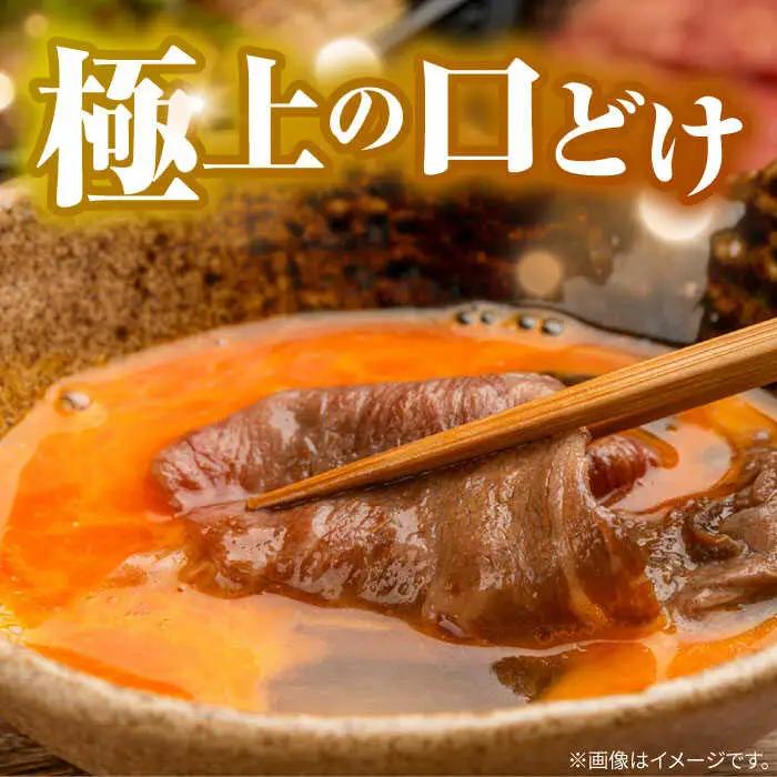 【6回定期便】長崎和牛 A5 赤身 切り落とし(モモ・バラ) 500g(250g×2) / 牛肉 和牛 モモ もも バラ バラ肉 すき焼き A5ランク 小間切れ / 諫早市 / 野中精肉店 [AHCW