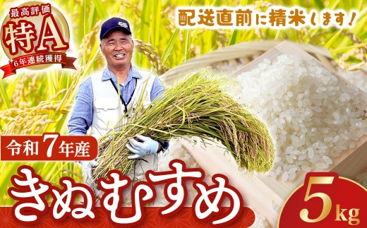 【在庫限定】令和7年産米 きぬむすめ 5kg （大上農園）数量限定 お米 米 こめ コメ 白米 きぬむすめ ブランド米 鳥取県 倉吉市