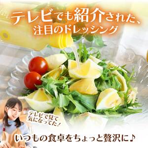 業務用・お土産用ドレッシング24本セット（宗田だし小夏）～どかんっ！と豪快工場直送～ 【R00769】