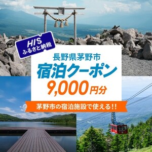 HISふるさと納税宿泊予約専用クーポン(長野県茅野市)9,000円分【1698050】