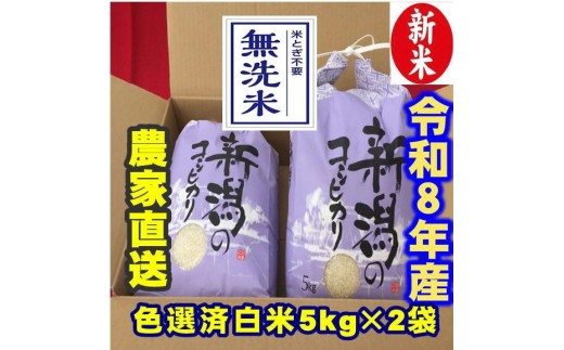 【令和8年産新米】 新潟県産 「従来こしひかり」 無洗米 10kg（5kg×2袋） 阿賀野市産 中島農場 精米 新潟県 米 こめ コメ お米 ごはん ご飯 農家直送 色彩選別済 新米令和8年産   3R21033