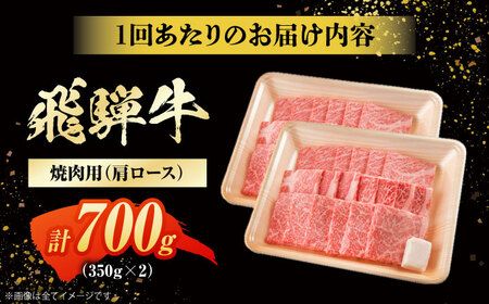 【12回定期便】 飛騨牛 焼肉用 肩ロース 700g（350g×2）/ 焼肉 牛肉 和牛 定期便 霜降り / 白川町 / 浅井商店[AWBJ017]