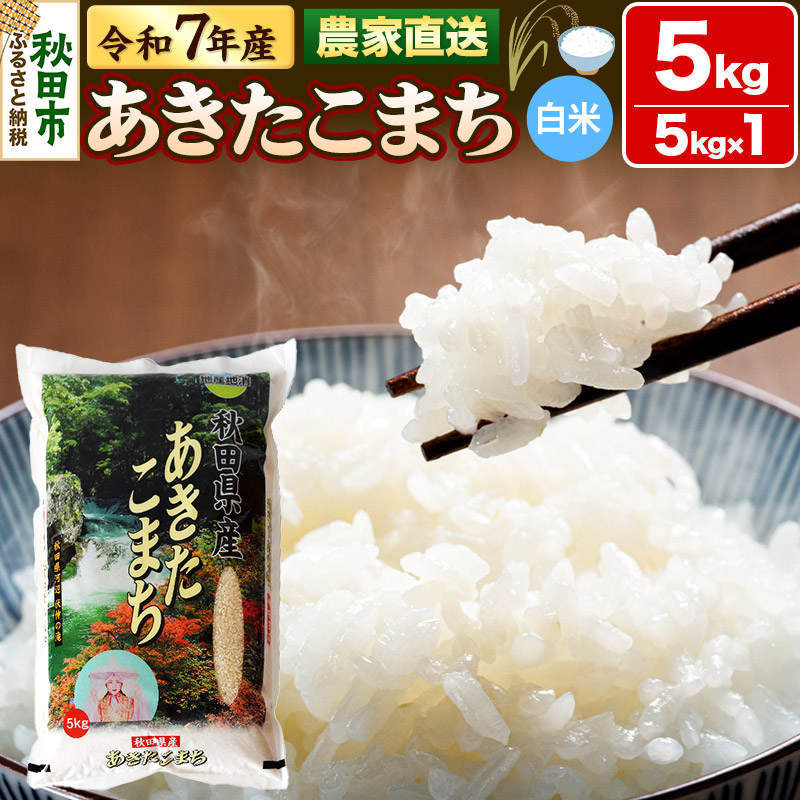 米 あきたこまち 5kg 令和7年産 新米 白米 田口商店 農家直送 秋田県産
