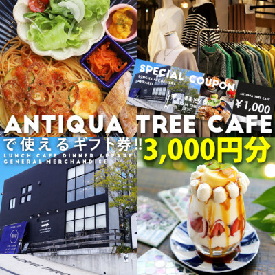 【ふるさと納税】カフェ利用ギフトカード　￥1000×3枚(CW002-SJ)【1682237】