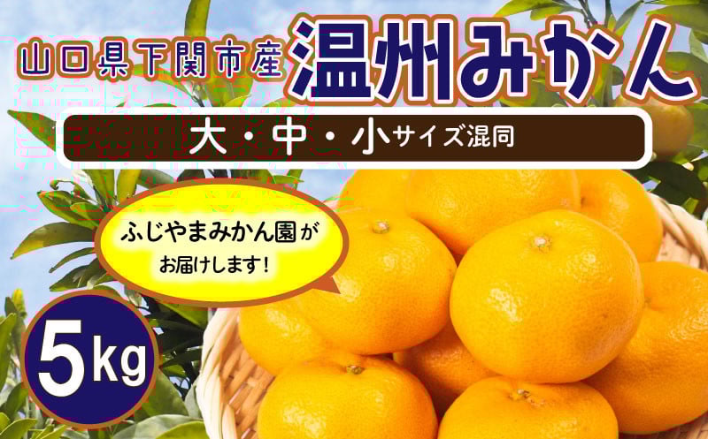 
             訳あり 温州みかん 5kg 国産 みかん ミカン 期間限定 果物 くだもの お取り寄せ 産地直送 数量限定 下関市 山口
          