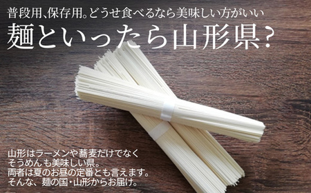 山形 蔵王 そうめん 100人前(1kg×10袋) 業務用 乾麺 F2Y-3760