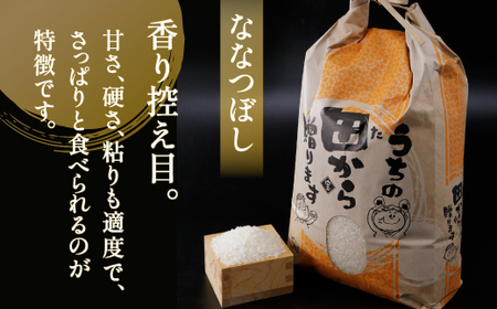 北海道 豊浦 令和5年産 精米 ななつぼし 10kg 【 ふるさと納税 人気 おすすめ ランキング 穀物・乳 米 精米 ななつぼし 国産 ふっくら 大容量 おいしい 美味しい 甘い 北海道 豊浦町 送