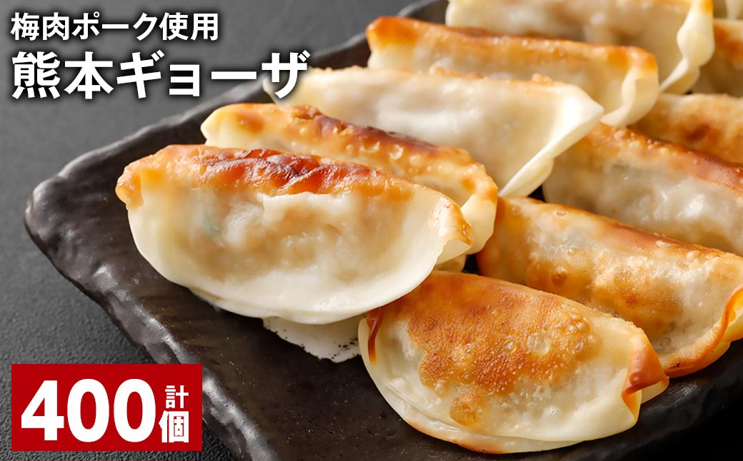 
                  ＜ R8年熊本地震復興支援 ＞梅肉ポーク使用 熊本ギョーザ 計400個 餃子 ぎょうざ 豚肉
                