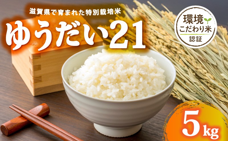 
                  令和7年産 ゆうだい21 白米 5kg 【ファームわたむき】 [WS007_R7] 米 お米 白米 米 精米 白米 はくまい こめ ゆうだい21 米 5kg 精米 ブランド米 国産 滋賀県産 日野町産 
                