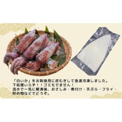 ふるさと納税 香美町 柔らかくて甘い!お刺身用 白イカむき身 350g(冷凍) |  | 03